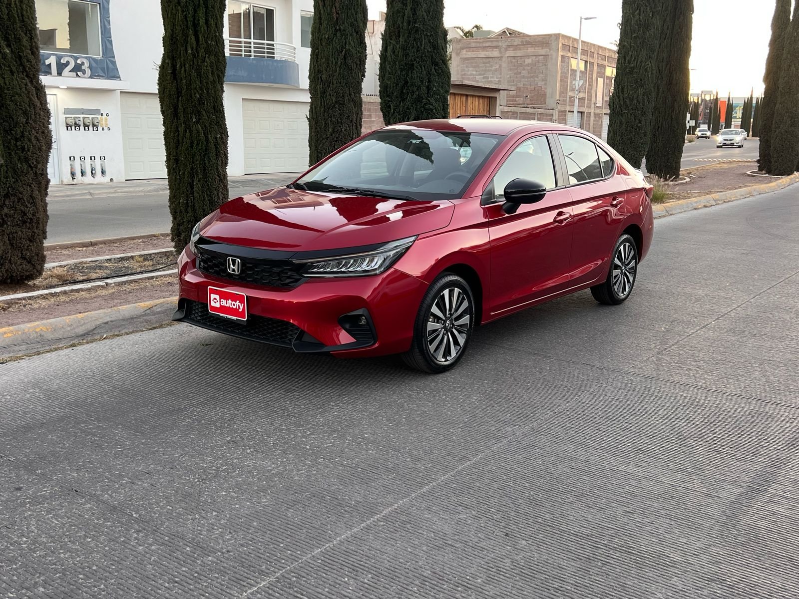 WhatsApp Image 2026-01-20 at 16.11.34 (1)